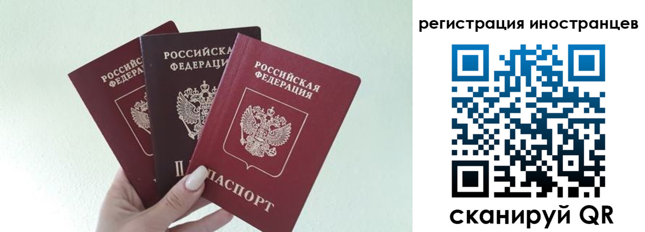 миграционный учет в Сельцо